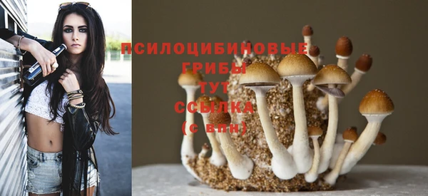 прущая мука Новодвинск
