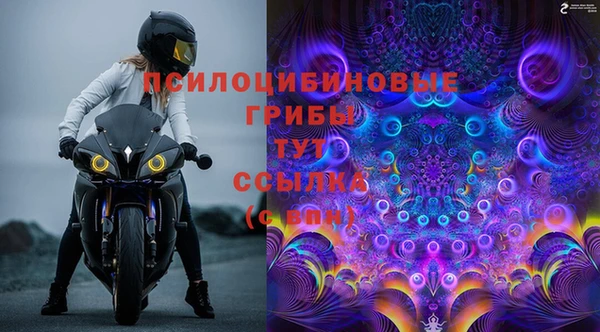 прущая мука Новодвинск