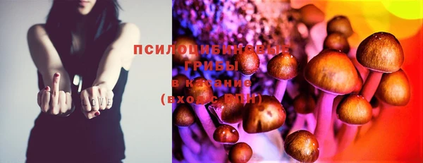прущая мука Новодвинск