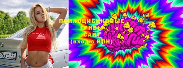 прущая мука Новодвинск